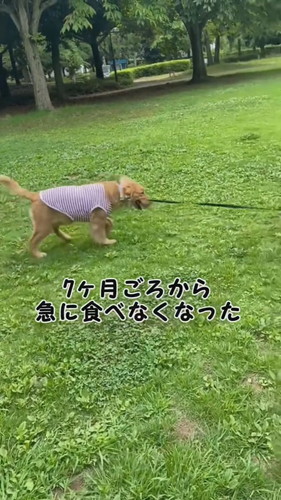 気になる症状が出ていたリリーちゃんですが……