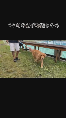 気になる症状が出ていたリリーちゃんですが……