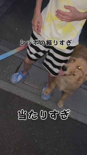 気になる症状が出ていたリリーちゃんですが……