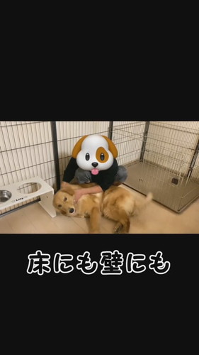 気になる症状が出ていたリリーちゃんですが……