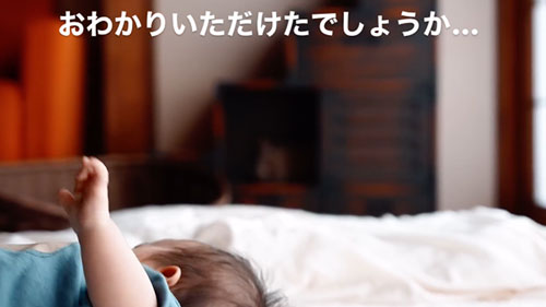 赤ちゃんを見守る猫