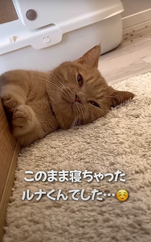 このまま寝ちゃった