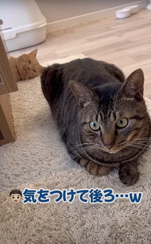 気を付けて後ろ