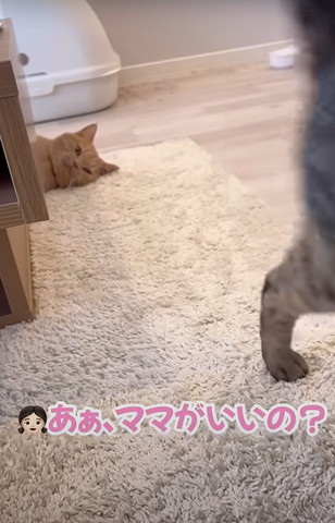 あぁママがいいの