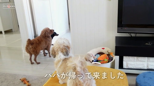 パパ帰ってきた