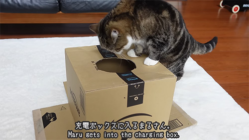 充電ボックスに入るまるさん