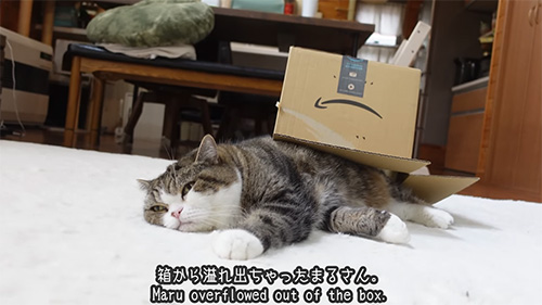 あふれ出しちゃったまるさん