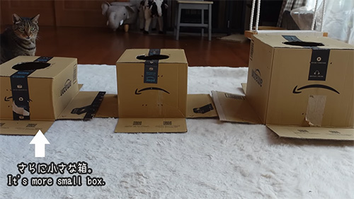 さらに小さな箱