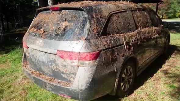 復活！レストア大作戦