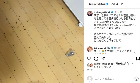 鳥居みゆきの投稿