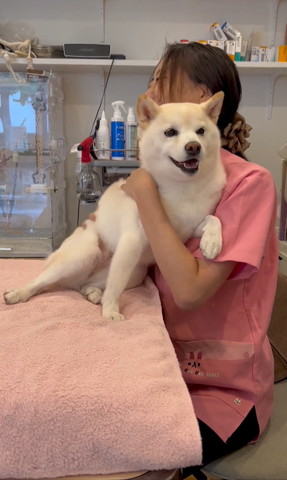 先生にもたれて笑顔のワンコ