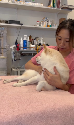 くつろぎながら身をゆだねるワンコ