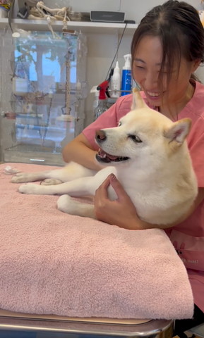 先生の腕にもたれて笑顔のワンコ