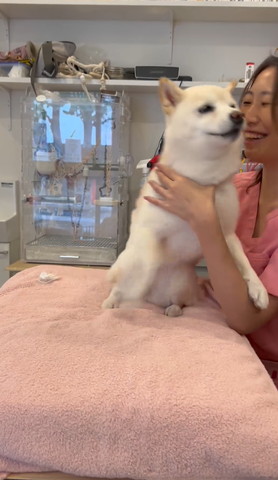 先生の方へ寄っていくワンコ