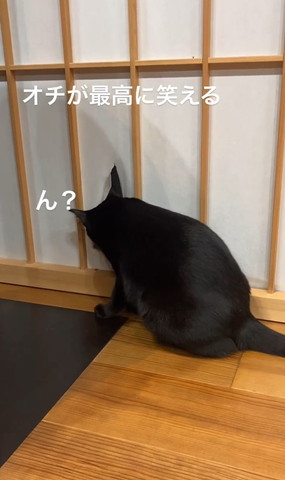 やぶれた障子に顏入れようとする猫ちゃん