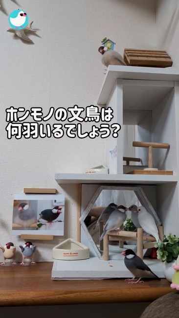 分かりましたか？