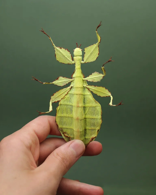 紙の彫刻が驚くほどリアル