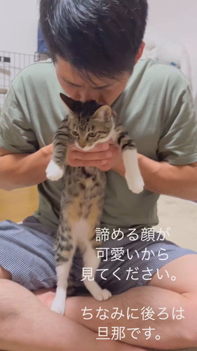 愛されている猫