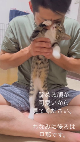 愛されている猫