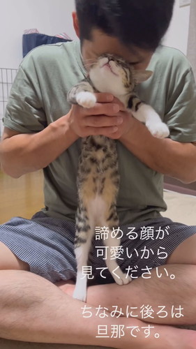 愛されている猫