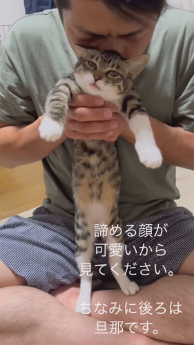 愛されている猫