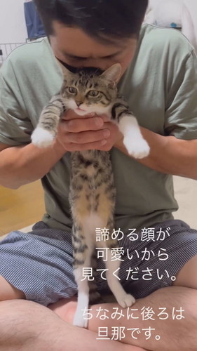 愛されている猫
