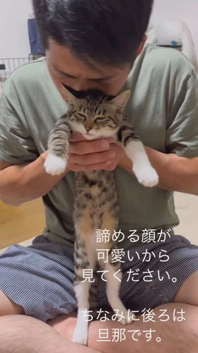 愛されている猫