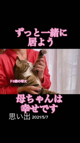 「段ボールで捨てられていた球太が、幸せを届けてくれました」