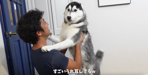 ワンコとのモフモフタイム噛み締めるパパ