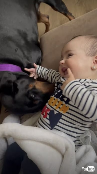 近づくワンコと赤ちゃん