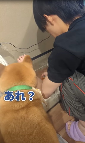 あれ？