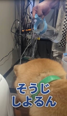 掃除しよるやん