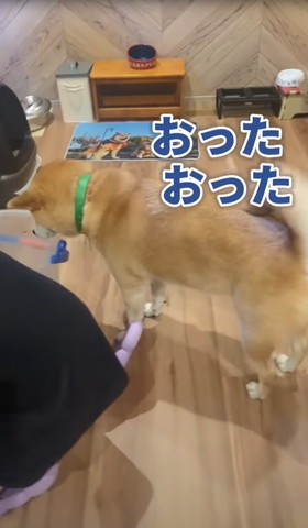 おったおった