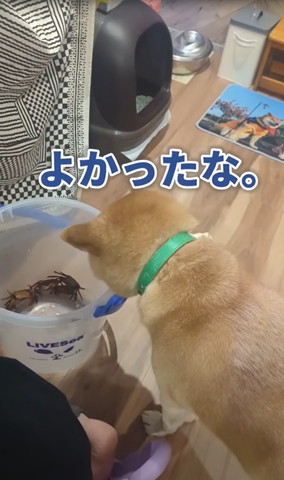 よかったな