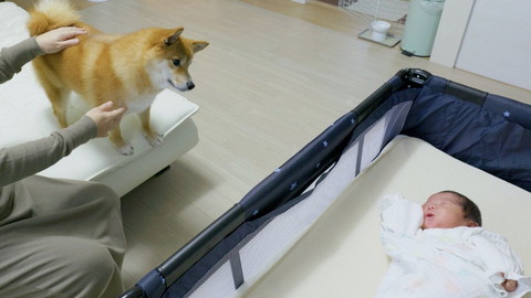おすすめ
