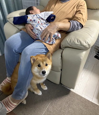 赤ちゃんの下にワンコ