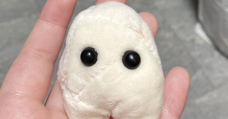 ロシア作家様 布人形創作人形 ハンドメイド 歯の妖精 ネズミを作るはずだったのに…… 初めてのぬいぐるみ製作で爆誕