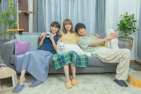 ネコ好き集まれー！ 安達祐実＆倉科カナ＆渡邉圭祐＆ニャンコ