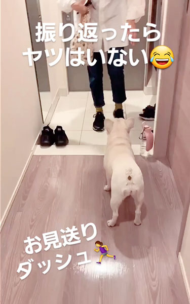 庭に猛ダッシュするワンコ