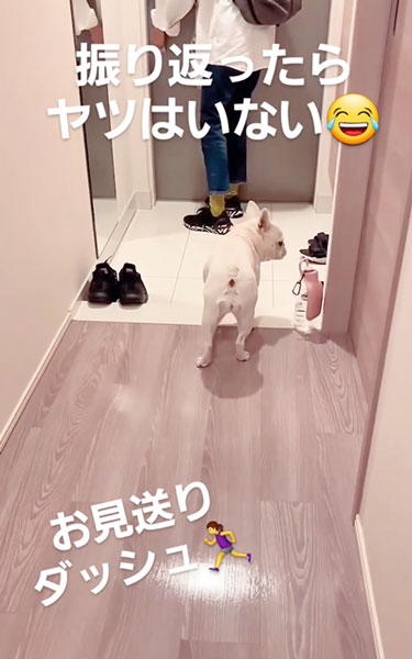 庭に猛ダッシュするワンコ