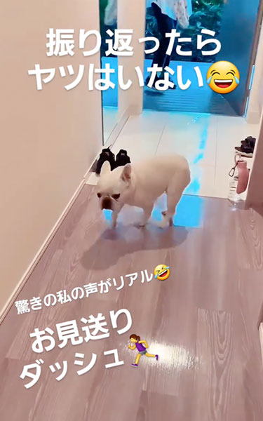 庭に猛ダッシュするワンコ