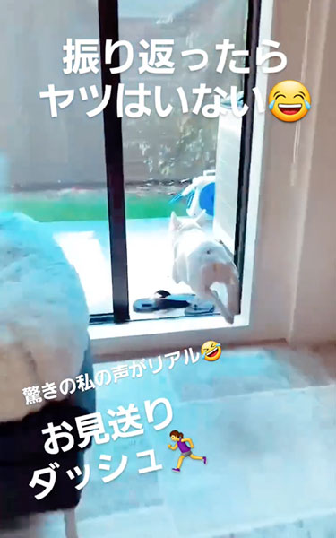 庭に猛ダッシュするワンコ