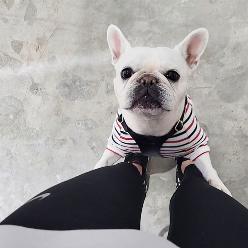 見上げる姿にキュン