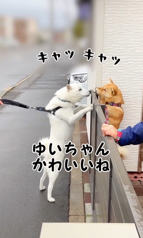 ゆいちゃんかわいいね