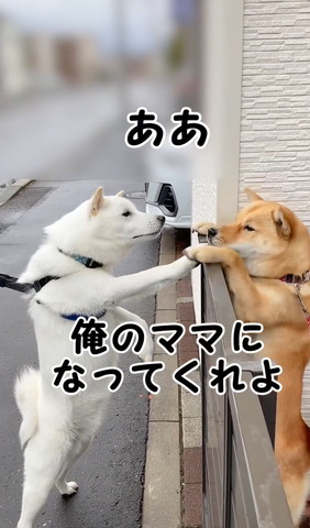 俺のママになってくれよ