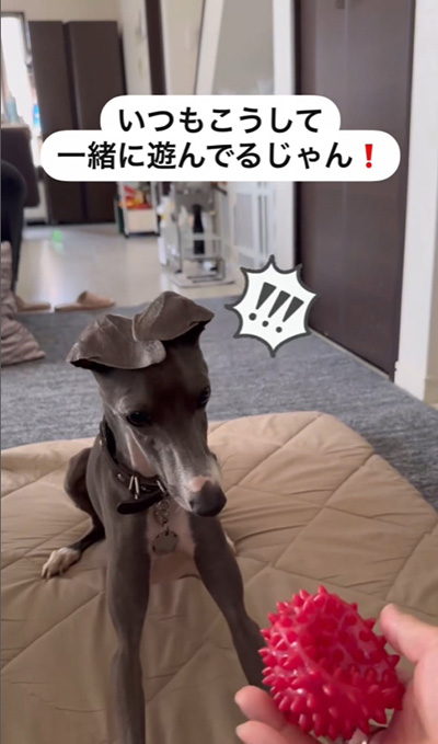 いつもこうして