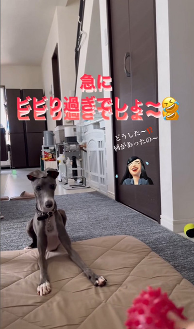 ビビりすぎでしょ