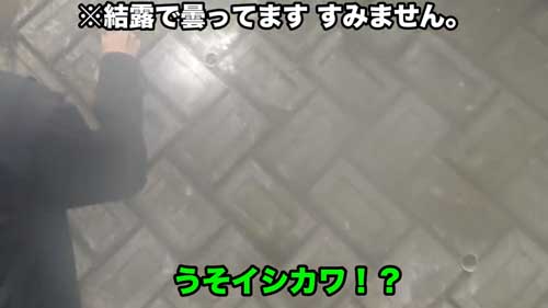 道路脇 壁 パイプ穴 のぞく カエル アザンティック 水抜きパイプ オキナワイシカワガエル