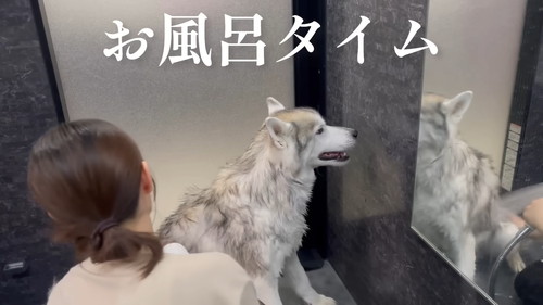 おすすめ