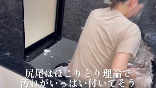 「お風呂にブチ込まれ、終わり際に怒りの咆哮をあげながら大暴れするシベリアンハスキー」